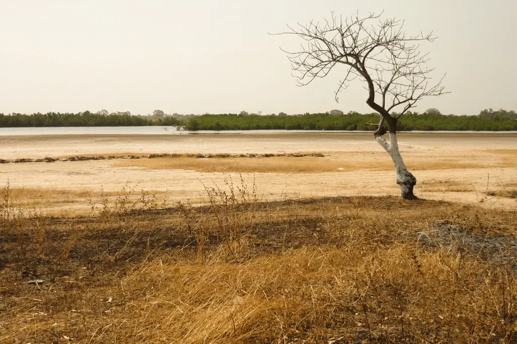 Dry Season (November to April): The Temple-Exploration Window