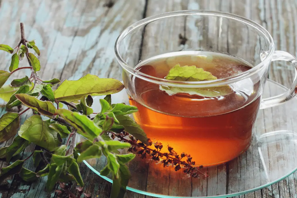 when is the best time to drink detox tea