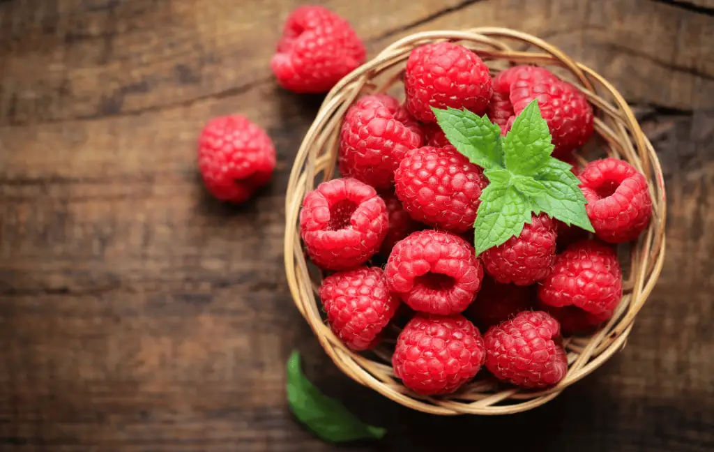Factors To Consider When Transplanting Raspberries